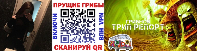 кракен как войти  Островной  Галлюциногенные грибы Magic Shrooms 
